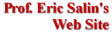 Prof. Eric Salin's Web Site